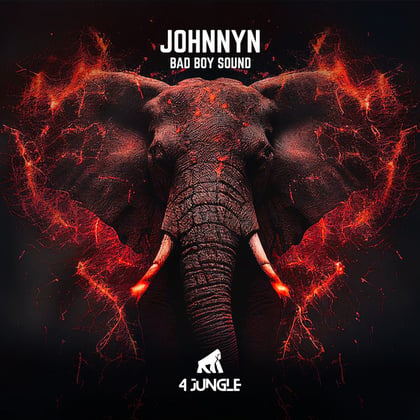Bad Boy Sound album by Johnnyn - Drum and Bass Cover Art