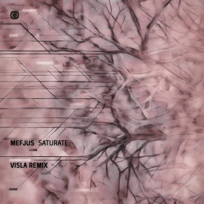 Saturate (VISLA Remix) album by Mefjus - Drum and Bass Cover Art