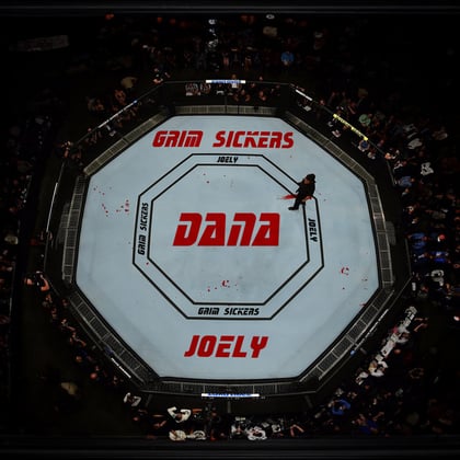 DANA album by JOELY - Drum and Bass Cover Art