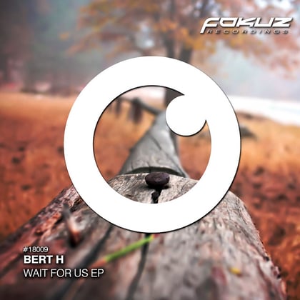 Wait For Us EP album by Bert H - Drum and Bass Cover Art