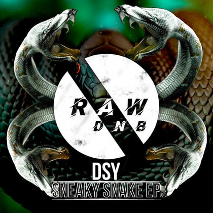 Sneaky Snake album by Dsy - Drum and Bass Cover Art