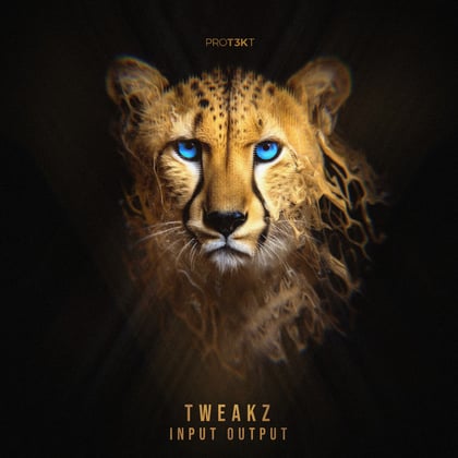 Input Output album by Tweakz - Drum and Bass Cover Art