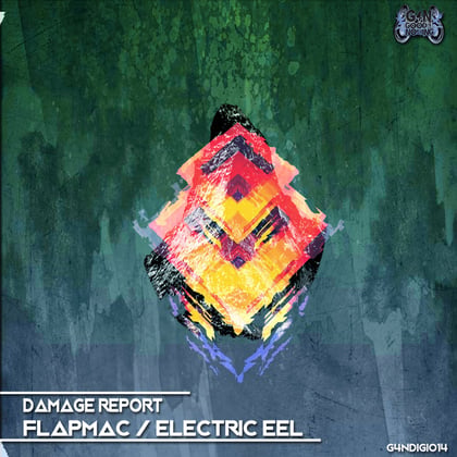 Flapmac / Electric Eel album by Damage Report - Drum and Bass Cover Art