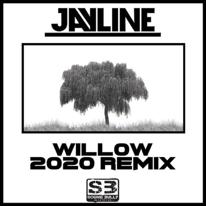 Willow (2020 Remix) album by Jayline - Drum and Bass Cover Art