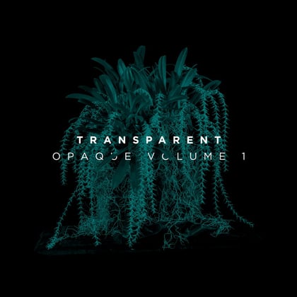 Opaque, Vol. 1 album by Transparent - Drum and Bass Cover Art