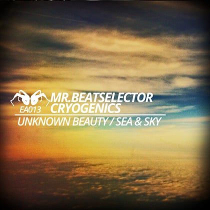 Unknown Beauty / Sea & Sky album by Cryogenics - Drum and Bass Cover Art