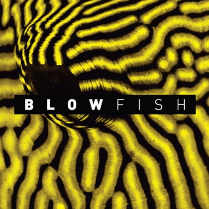 Blowfish album by Chimpo - Drum and Bass Cover Art