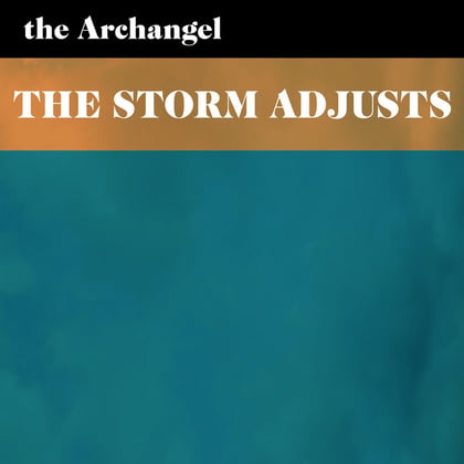 The Storm Adjusts album by The Archangel - Drum and Bass Cover Art