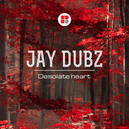 Desolate Heart album by Jay Dubz - Drum and Bass Cover Art