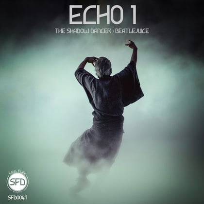The Shadow Dancer album by Echo 1 - Drum and Bass Cover Art
