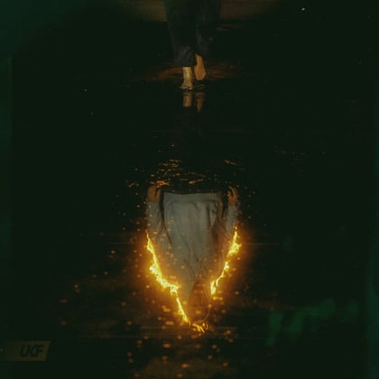 This is fine. album by The Caracal Project - Drum and Bass Cover Art