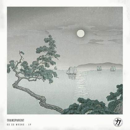 Do So Wrong album by Transparent - Drum and Bass Cover Art