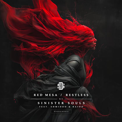 Red Mesa / Restless album by RAIDO - Drum and Bass Cover Art