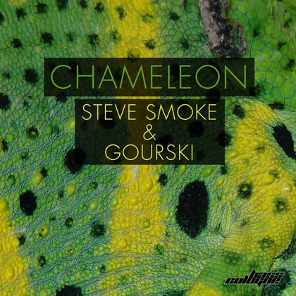 Chameleon album by Gourski - Drum and Bass Cover Art