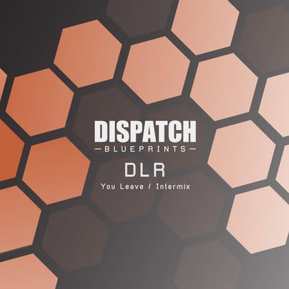 You Leave / Intermix album by DLR - Drum and Bass Cover Art
