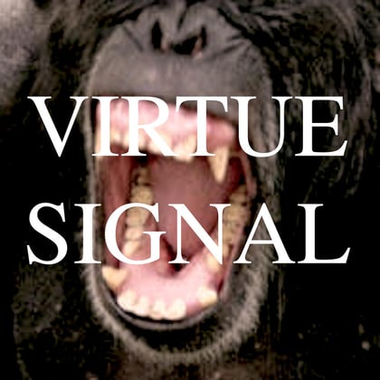 Virtue Signal album by Mistabishi - Drum and Bass Cover Art