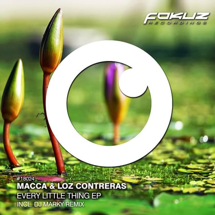Every Little Thing EP album by Macca & Loz Contreras - Drum and Bass Cover Art
