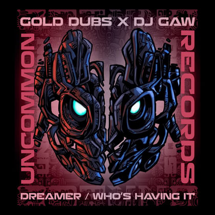 Dreamer / Who's Having it album by DJ Gaw - Drum and Bass Cover Art