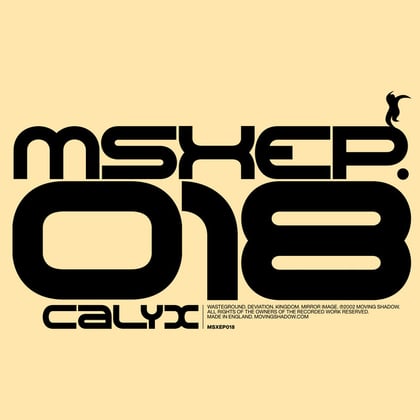 Wasteground / Deviation / Kingdom / Mirror Image album by Calyx - Drum and Bass Cover Art