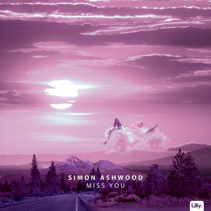 Miss You album by Captain Bass, Simon Ashwood & Émilie Rachel - Drum and Bass Cover Art