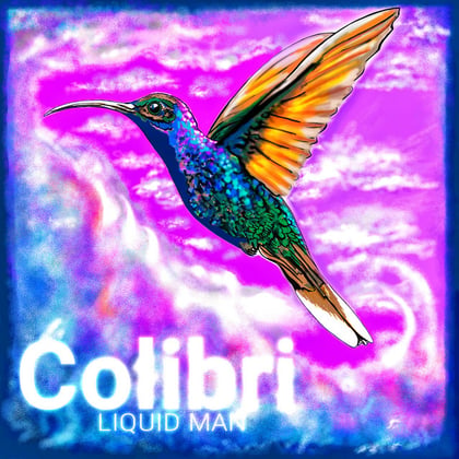 Colibri album by Liquid Man - Drum and Bass Cover Art