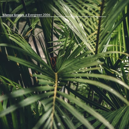 Evergreen 2006 album by Silence Groove - Drum and Bass Cover Art