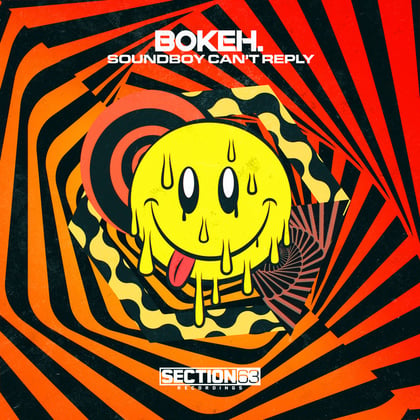 Soundboy Can't Reply album by Bokeh. - Drum and Bass Cover Art