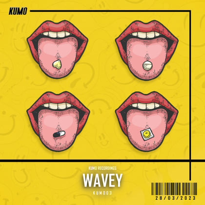 Wavey album by Kumo - Drum and Bass Cover Art