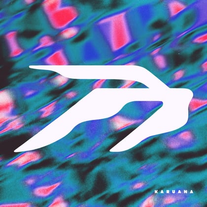 Kwakken album by Tengu & Pepper - Drum and Bass Cover Art