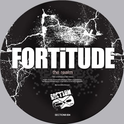 The Realm album by Fortitude - Drum and Bass Cover Art