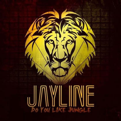 Do You Like Jungle LP album by Jayline - Drum and Bass Cover Art