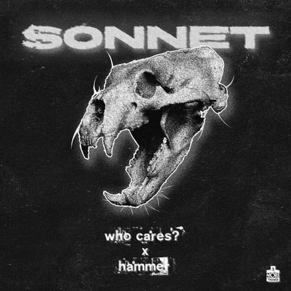 Who Cares? / Hammer album by Sonnet - Drum and Bass Cover Art