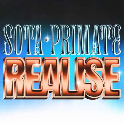 Realise album by SOTA - Drum and Bass Cover Art