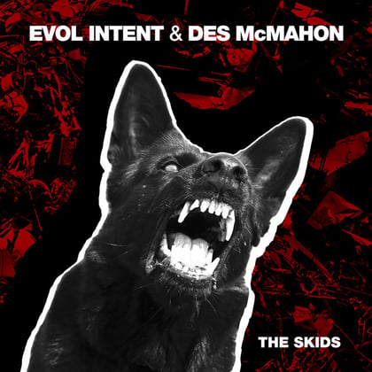 The Skids album by Evol Intent & Des McMahon - Drum and Bass Cover Art