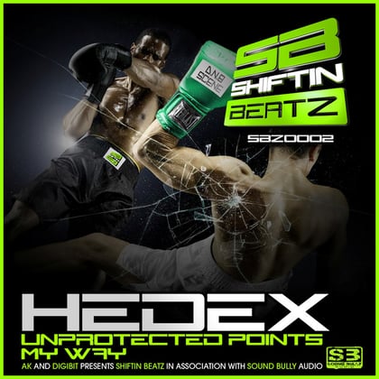 Unprotected Points album by Hedex & Black Orchid - Drum and Bass Cover Art