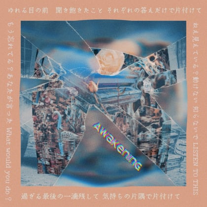 Waltz For Dubby LP Sampler Part 1 - Awakening album by Heavy1 - Drum and Bass Cover Art