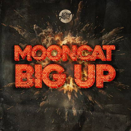 Big Up album by Mooncat - Drum and Bass Cover Art