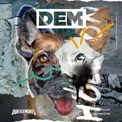 Just Hold On album by Dub Elements - Drum and Bass Cover Art