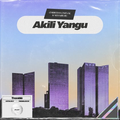 Akili Yangu album by Tengu & Christian Cheval - Drum and Bass Cover Art