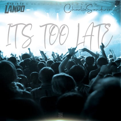 It's Too Late album by Project Lando - Drum and Bass Cover Art