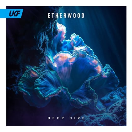 Deep Dive album by Etherwood - Drum and Bass Cover Art
