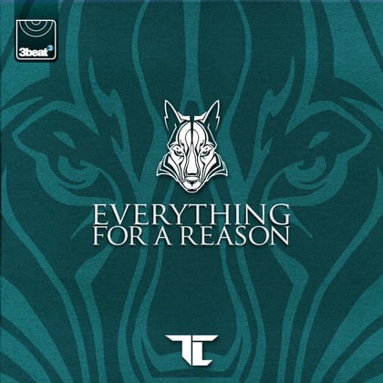 Everything For A Reason album by DJ Fresh & TC - Drum and Bass Cover Art