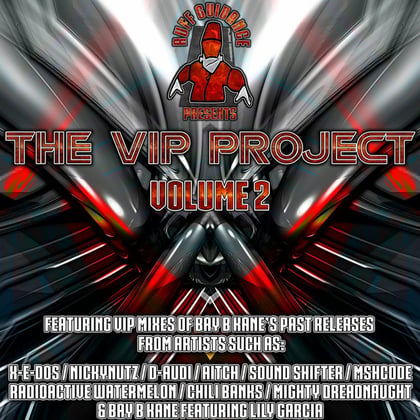 The VIP Project Vol. 2 album by Bay B Kane - Drum and Bass Cover Art