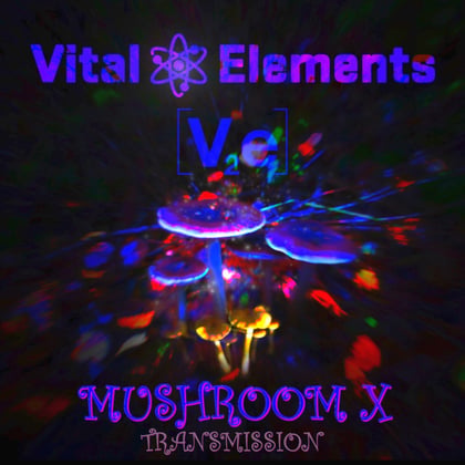 Mushroom X album by Vital Elements - Drum and Bass Cover Art