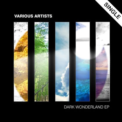 Rise album by MSDOS - Drum and Bass Cover Art