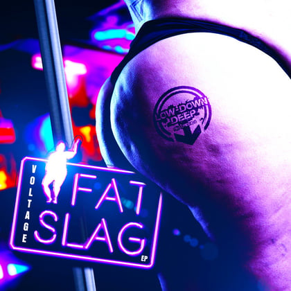 Fat Slag album by Dr Meaker & Voltage - Drum and Bass Cover Art
