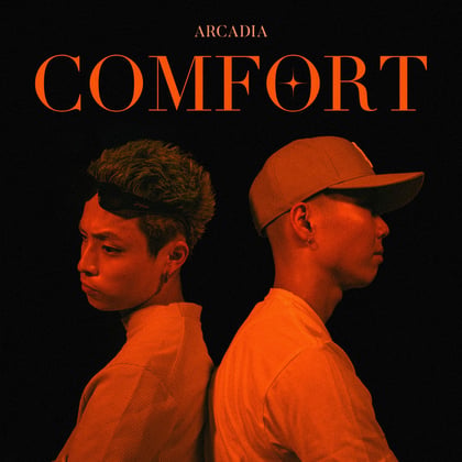 COMFORT album by Skynet - Drum and Bass Cover Art