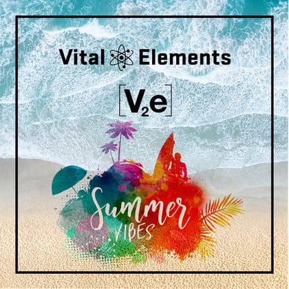 Summer Vibes album by Vital Elements - Drum and Bass Cover Art