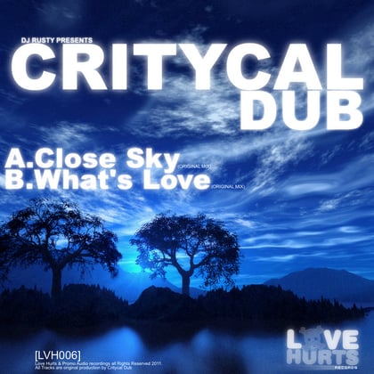 Close Sky / Whats Love album by Critycal Dub - Drum and Bass Cover Art