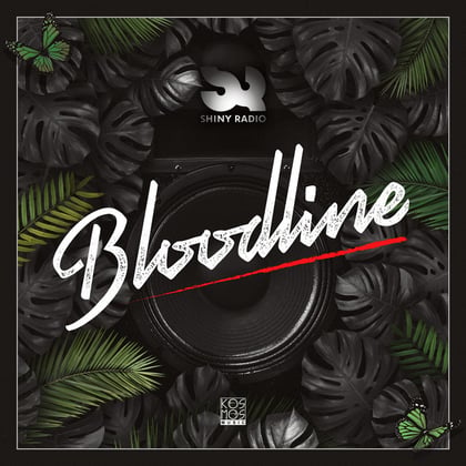 Bloodline LP album by Shiny Radio - Drum and Bass Cover Art